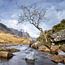 Glencoe