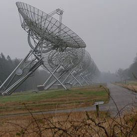 Les radiotélescopes de Westerbork sur L Swinkels