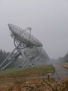 Radiotelescopen Westerbork van L Swinkels thumbnail