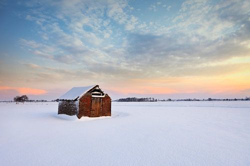 Vervallen schuur in de sneeuw
