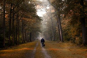 Breda Liesbos im Nebel