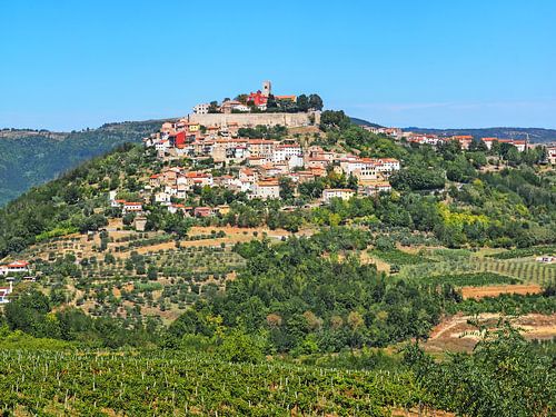 Uitzicht op Motovun, Kroatië