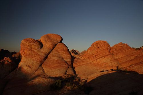 Yant Flat - Candy Cliffs - Cottonwood Forest Wilderness Utah USA