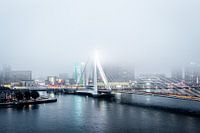 Rotterdam Erasmusbrug foggy night