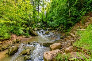 Mullerthal Trail VII