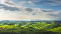 Ländliche Landschaft in Volterra. Toskana, Italien