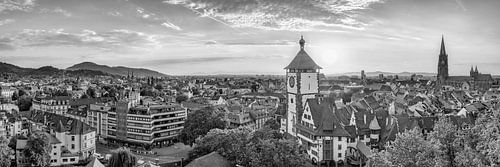 Freiburg skyline zwart-wit