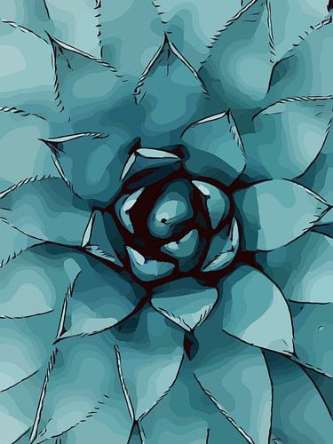 Close-up vetplant - Succulent.