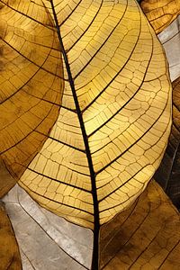 Botanisches Gold