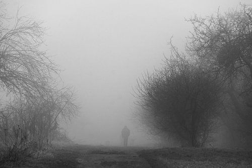 Shape in the morning mist