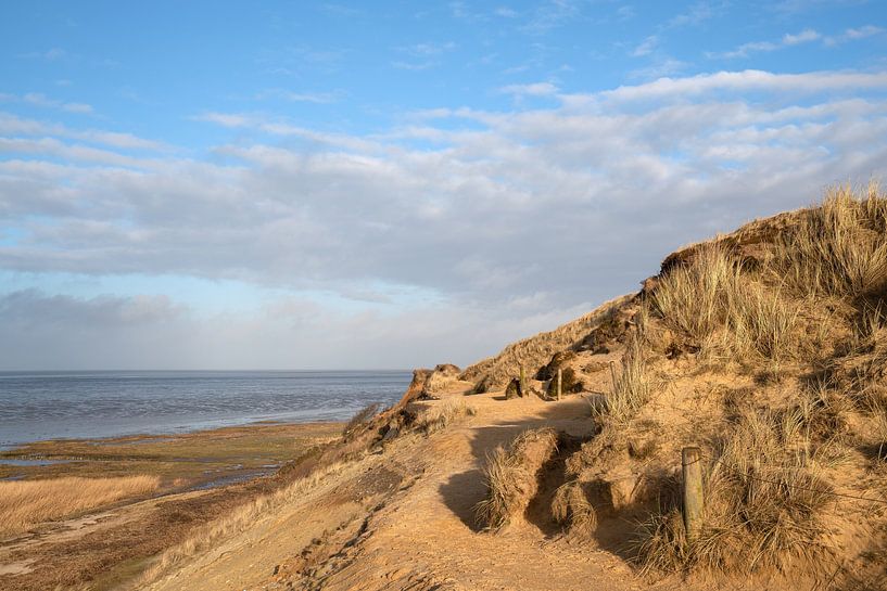 Sylt, Nordfriesland, Deutschland von Alexander Ludwig