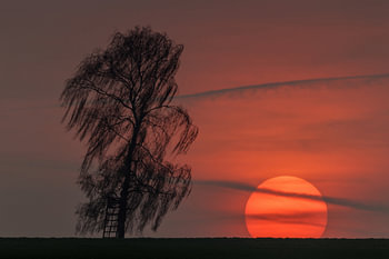 Coucher de soleil