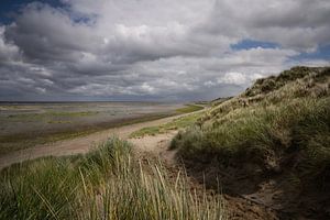 Dunes et plage sur l'île des Wadden d'Ameland