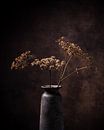 Dried hogweed in a rustic vase. by Henk Van Nunen Fotografie thumbnail