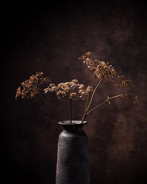 Getrockneter Bärenklau in rustikaler Vase. von Henk Van Nunen Fotografie