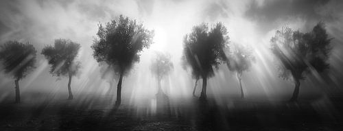 The shadowy realm of silence