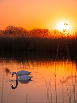 Coucher de soleil Lingezegen sur Willemijn Wolthaus