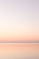 Vogel bei Sonnenaufgang