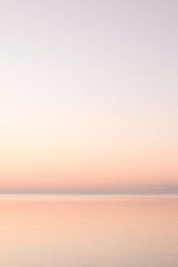 Vogel bei Sonnenaufgang