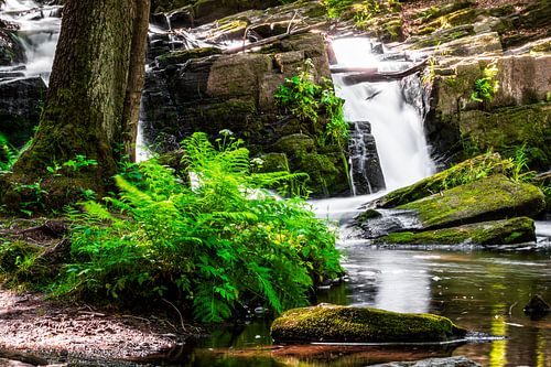Kleine waterval in de Selke vallei
