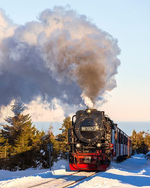 Brockenbahn - with the Hogwarts Express to the summit by Edwin Kooren