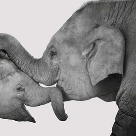  L'amour de la mère et l'enfant, les éléphants câlins sur Rietje Bulthuis