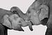 Liebe von Mutter und Kind, Kuscheln Elefanten von Rietje Bulthuis