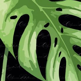 Mostera on black with text triptych 3 of 3 by AidasignArt