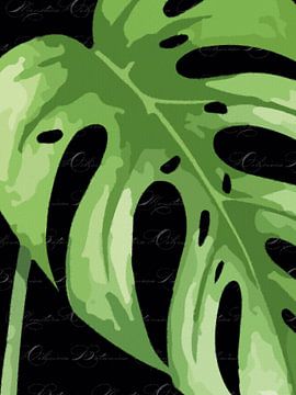 Mostera auf Schwarz mit Text Triptychon 3 v. 3