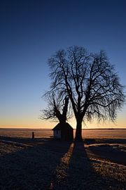 Kapel in bevroren ochtendzon van Maarten Honinx