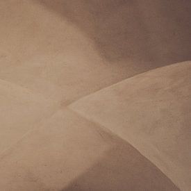 Gewelfd van Elke van Putten