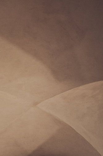 Vaulted by Elke van Putten