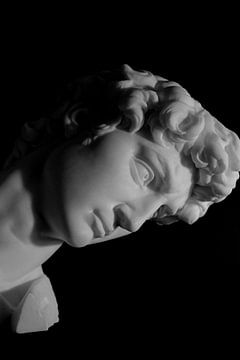 Michelangelo's David: Een Meesterwerk in Zwart en Wit van I love you David