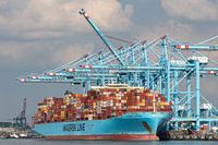 Maersk containership onder de kranen op de tweede maasvlakte