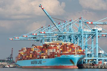 Maersk-Containerschiff unter den Kränen auf der zweiten Maasvlakte von Arthur Bruinen