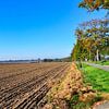 Champ près de Vilmnitz, Putbus, Rügen sur GH Foto & Artdesign