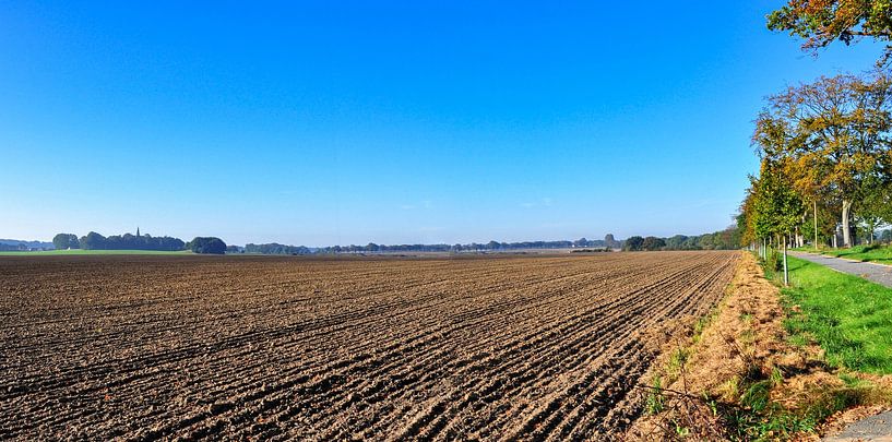 Feld bei Vilmnitz, Putbus, Rügen von GH Foto & Artdesign