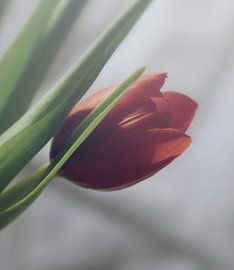 einfach schön von Kay Weber