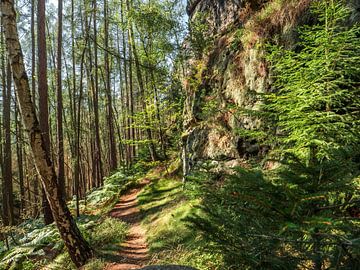 Königsweg, Saxon Switzerland - Forest path at Wartburg by Pixelwerk