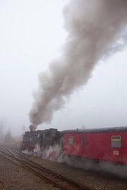 The Brockenbahn in the fog at Schierke station (3) by t.ART