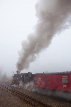 Die Brockenbahn im Nebel am Bahnhof Schierke (3) von t.ART