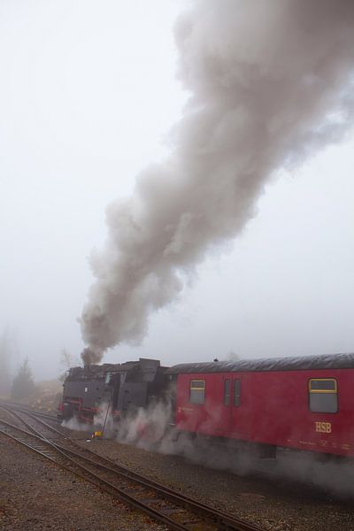 De Brockenbahn in de mist bij station Schierke (3) van t.ART