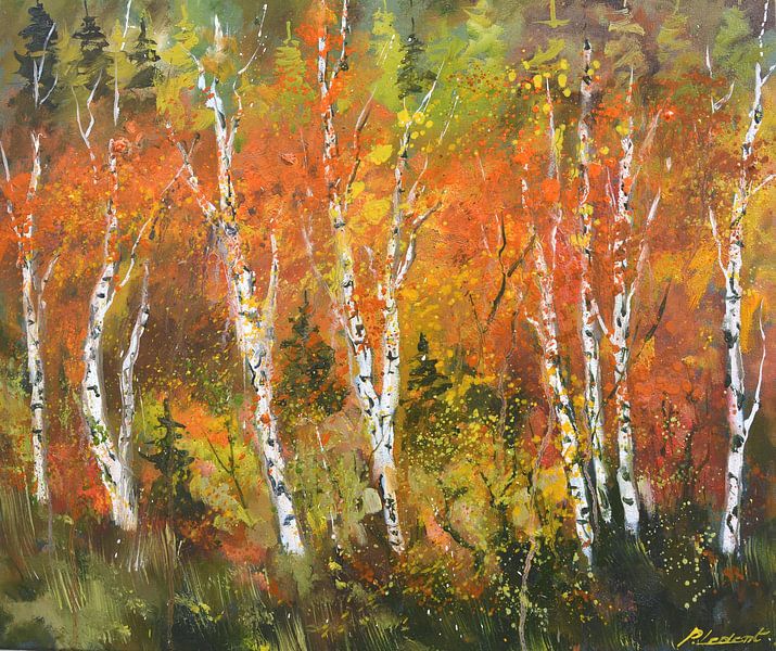 Aspentrees in autumn by pol ledent