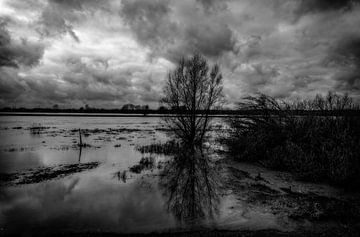 Überschwemmtes Land an der IJssel bei Zwolle von nol ploegmakers