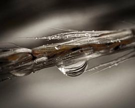 Der Tropfen von By Marjolein Design