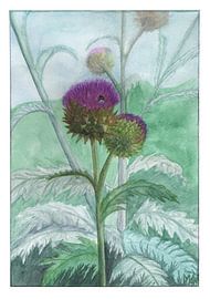 Cardoon with bumblebee by Marjolijn de Winter