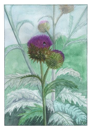 Kardoen met hommel, aquarel 'Verkade-plaatje' van Marjolijn de Winter