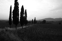 Sunset Italy Tuscany in summer black and white