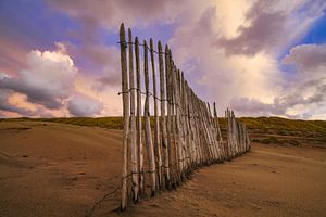 Dünen und Strand an der Küste der Niederlande