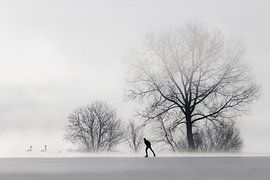 Lone skater. by Frans Lemmens
